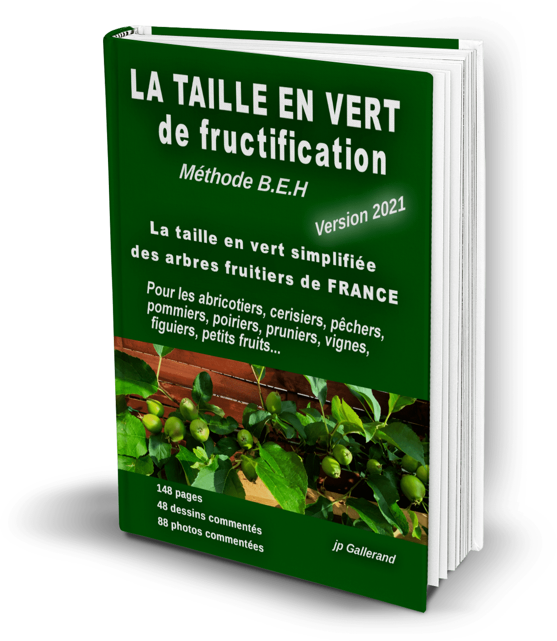 La Taille Des Arbres Fruitiers : Conseils Pour Vergers Et Jardins