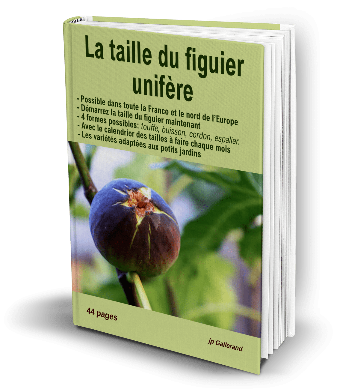 La Taille Des Arbres Fruitiers : Conseils Pour Vergers Et Jardins